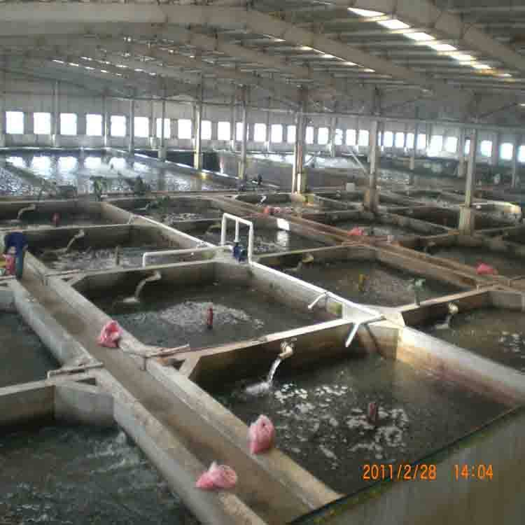 陽泉市循環水池堵縫施工 合作共贏