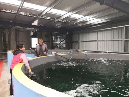 內(nèi)陸山區(qū)養(yǎng) 海蝦 貴州遵義工廠化循環(huán)水對蝦養(yǎng)殖的探索實(shí)踐