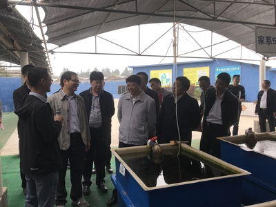 全國(guó)水產(chǎn)技術(shù)推廣總站張鋒書記到晉江福大鮑魚水產(chǎn)調(diào)研