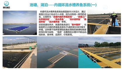 工廠化循環(huán)水養(yǎng)魚(yú)-智慧農(nóng)研(推薦商家)-工廠化養(yǎng)魚(yú)