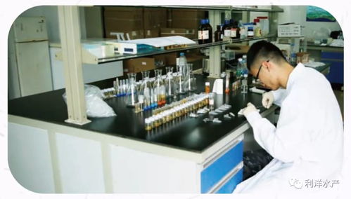 系統(tǒng)檢測(cè) 精準(zhǔn)服務(wù) 讓水產(chǎn)養(yǎng)殖更可控