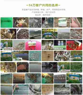 池塘養(yǎng)蝦的水產(chǎn)益生菌哪里能買(mǎi)到多少錢(qián)