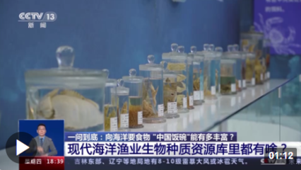 向海洋要食物,&ldquo;中國飯碗&rdquo;會有多豐富?建設(shè)&ldquo;藍色糧倉&rdquo;我們這么干