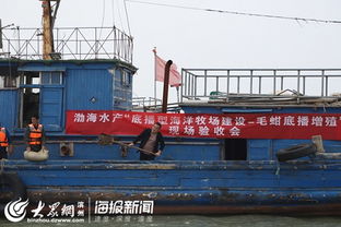 渤海水產(chǎn) 濱州 毛蚶苗種規(guī)模化中間培育與底播增殖通過專家現(xiàn)場驗收