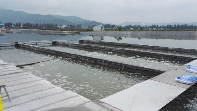 關(guān)注 | 還記得讓天敵共存的&ldquo;共享池塘&rdquo;嗎?這項養(yǎng)殖&ldquo;黑科技&rdquo;入選省重點研發(fā)計劃項目啦!