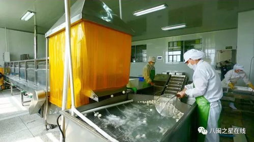 金獎企業(yè) 旭煌食品 巧用科技助力 讓 魚丸 國際旅程更遠(yuǎn)