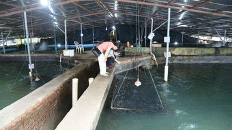 全國水產(chǎn)養(yǎng)殖尾水排放要求標(biāo)準(zhǔn)技術(shù)調(diào)研工作交流會在天馬科技集團(tuán)圓滿召開 天馬科技