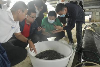 &ldquo;行業黑馬&rdquo;馳騁而來!歡迎鍋圈食匯蒞臨國聯水產考察調研