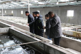 天津市水產(chǎn)產(chǎn)業(yè)技術(shù)體系創(chuàng)新團隊首席專家邢克智教授帶隊赴東麗區(qū) 濱海新區(qū)指導(dǎo)水產(chǎn)養(yǎng)殖工作