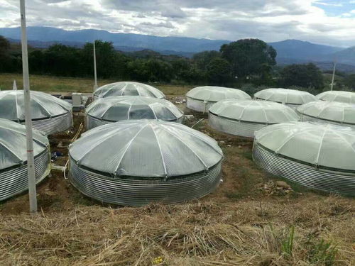 水產(chǎn)養(yǎng)殖邁入科技養(yǎng)殖時代 低碳節(jié)能高速增氧機 手機遠程操控