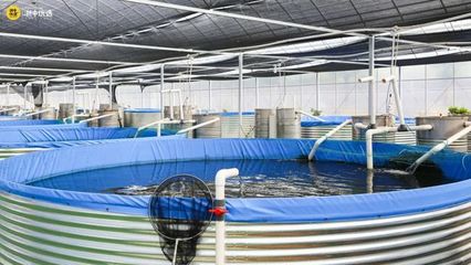 金華這個(gè)寶藏農(nóng)場(chǎng)火了!很多人專(zhuān)門(mén)過(guò)去搶這種魚(yú)&hellip;