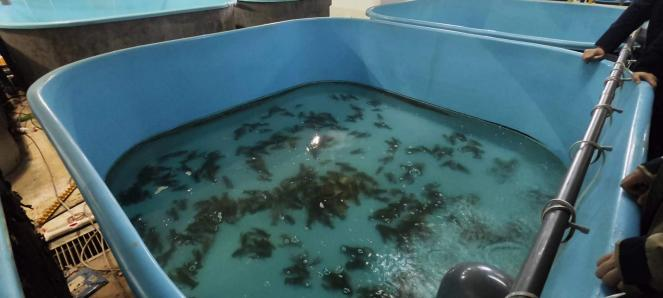 王春琳-夜深人靜更想你- 全民k歌,ktv交友社區