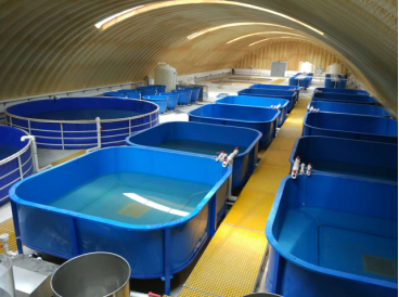 工業(yè)化養(yǎng)殖工程學(xué)研究與裝備研發(fā)-中國水產(chǎn)科學(xué)研究院漁業(yè)機.