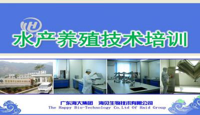 水產(chǎn)養(yǎng)殖技術(shù)培訓(xùn)ppt