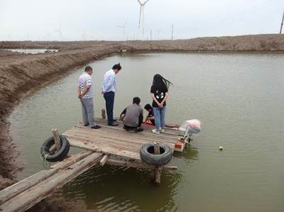 &ldquo;玻化癥&rdquo;突襲對蝦產(chǎn)業(yè) 黃海所專家赴一線排憂解難