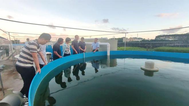 技術(shù)大拿間的&ldquo;夢(mèng)幻聯(lián)動(dòng)&rdquo;!海之味與集美大學(xué)水產(chǎn)學(xué)院達(dá)成戰(zhàn)略合作,開啟牛蛙技術(shù)研發(fā)新篇章