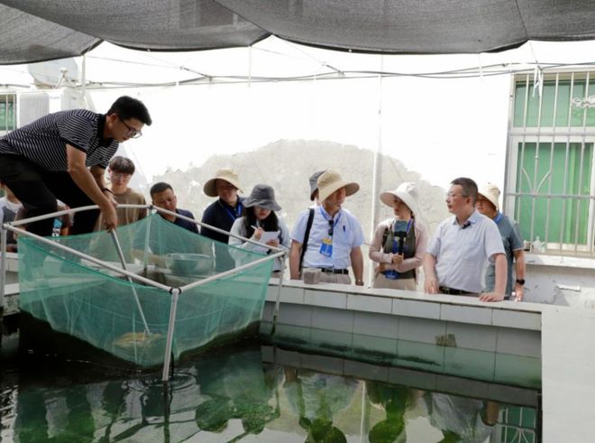 走出楊凌看示范 | 水產(chǎn)博士&ldquo;鱘&rdquo;富路