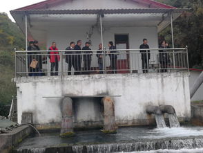 全國水產技術推廣總站副站長胡紅浪等到畢節考察三文魚養殖