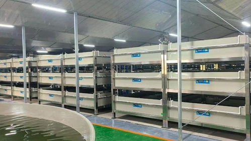 今年養(yǎng)啥最賺錢 deepseek和聯(lián)塑帶你揭秘水產養(yǎng)殖新風口