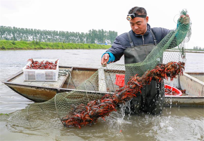 【新時代 新作為 新篇章】 &ldquo;一二三產&rdquo;深度融合 小龍蝦&ldquo;變身&rdquo;全面小康大產業(yè)