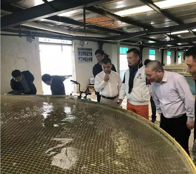 學習借鑒 | 72街餐飲集團組織團隊蒞臨仙泉湖養(yǎng)殖基地參觀指導!