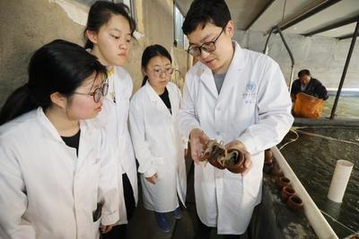 連云港贛榆建立國內(nèi)首個短蛸繁育養(yǎng)成體系