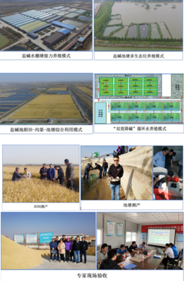 中國水產科學研究院東海所牽頭的藍色糧倉重點專項課題&ldquo;鹽堿水質綜合改良調控技術研發與養殖模式構建&rdquo;開展2020年度現場驗收