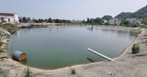 應用新模式新技術，推動水產養殖綠色轉型與可持續發展